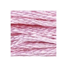 DMC 6-Strand Floss Art.117 - 3609