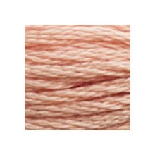 DMC 6-Strand Floss Art.117 - 3771