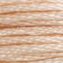 DMC 6-Strand Floss Art.117 - 3774