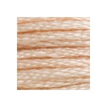 DMC 6-Strand Floss Art.117 - 3774