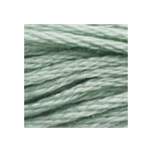 DMC 6-Strand Floss Art.117 - 3813