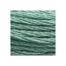 DMC 6-Strand Floss Art.117 - 3816