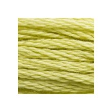 DMC 6-Strand Floss Art.117 - 3819