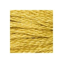 DMC 6-Strand Floss Art.117 - 3820