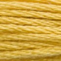 DMC 6-Strand Floss Art.117 - 3821