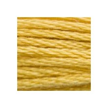 DMC 6-Strand Floss Art.117 - 3821