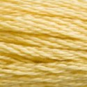DMC 6-Strand Floss Art.117 - 3822