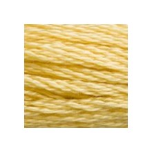 DMC 6-Strand Floss Art.117 - 3822