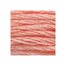 DMC 6-Strand Floss Art.117 - 3824