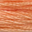 DMC 6-Strand Floss Art.117 - 3825