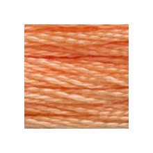DMC 6-Strand Floss Art.117 - 3825