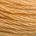 DMC 6-Strand Floss Art.117 - 3827