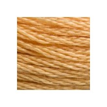 DMC 6-Strand Floss Art.117 - 3827