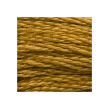 DMC 6-Strand Floss Art.117 - 3829