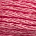 DMC 6-Strand Floss Art.117 - 3833