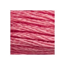 DMC 6-Strand Floss Art.117 - 3833