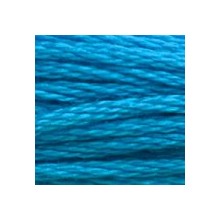 DMC 6-Strand Floss Art.117 - 3843