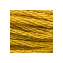 DMC 6-Strand Floss Art.117 - 3852
