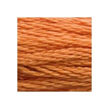 DMC 6-Strand Floss Art.117 - 3853