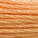 DMC 6-Strand Floss Art.117 - 3854