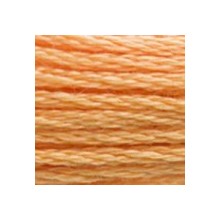 DMC 6-Strand Floss Art.117 - 3854