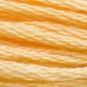 DMC 6-Strand Floss Art.117 - 3855