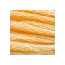DMC 6-Strand Floss Art.117 - 3855
