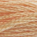 DMC 6-Strand Floss Art.117 - 3856
