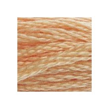 DMC 6-Strand Floss Art.117 - 3856