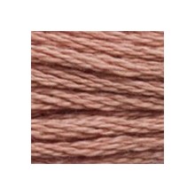 DMC 6-Strand Floss Art.117 - 3859