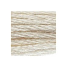 DMC 6-Strand Floss Art.117 - 3866