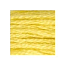 DMC 6-Strand Floss Art.117 - 17