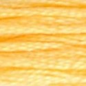 DMC 6-Strand Floss Art.117 - 19