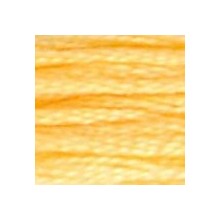 DMC 6-Strand Floss Art.117 - 19