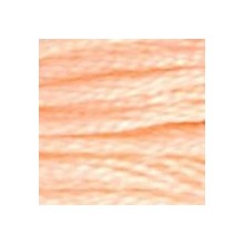 DMC 6-Strand Floss Art.117 - 20