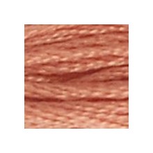 DMC 6-Strand Floss Art.117 - 21