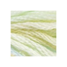 DMC Color Variations 6-strand floss - 4060