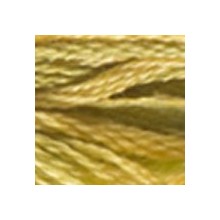 DMC Color Variations 6-strand floss - 4070