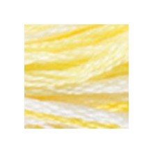 DMC Color Variations 6-strand floss - 4077