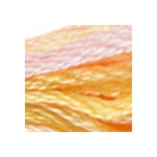 DMC Color Variations 6-strand floss - 4100