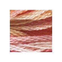 DMC Color Variations 6-strand floss - 4120