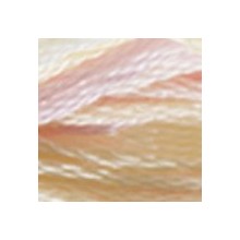 DMC Color Variations 6-strand floss - 4160