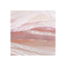 DMC Color Variations 6-strand floss - 4170