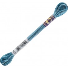 DMC Color Variations 6-strand floss - 4025