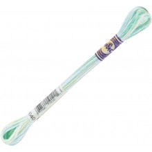 DMC Color Variations 6-strand floss - 4040