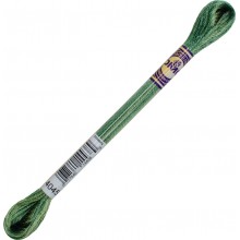 DMC Color Variations 6-strand floss - 4045