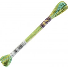 DMC Color Variations 6-strand floss - 4050