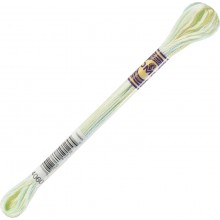 DMC Color Variations 6-strand floss - 4060