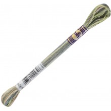 DMC Color Variations 6-strand floss - 4065
