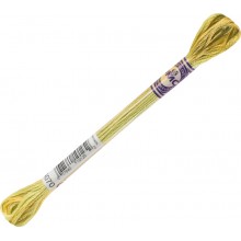 DMC Color Variations 6-strand floss - 4070